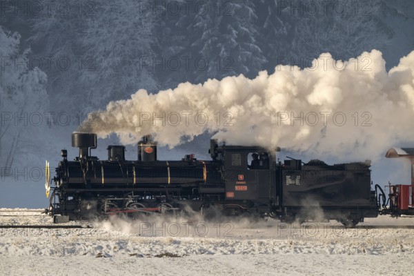 Zillertalbahn, steam locomotive with tender, New Year's Eve train, Zillertal, Tyrol, Austria,