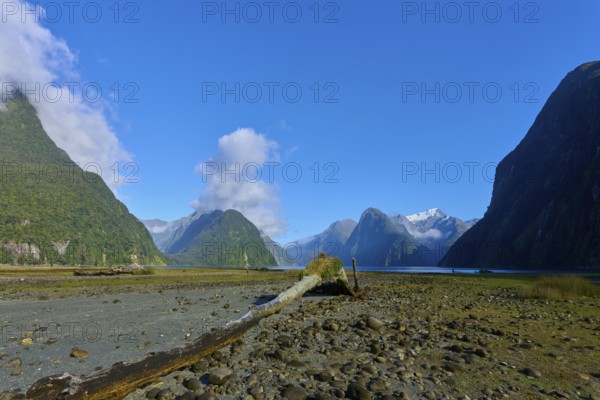 Fascinating nature with mountains and fjord shores under a clear sky, summer, Milford Sound, Te