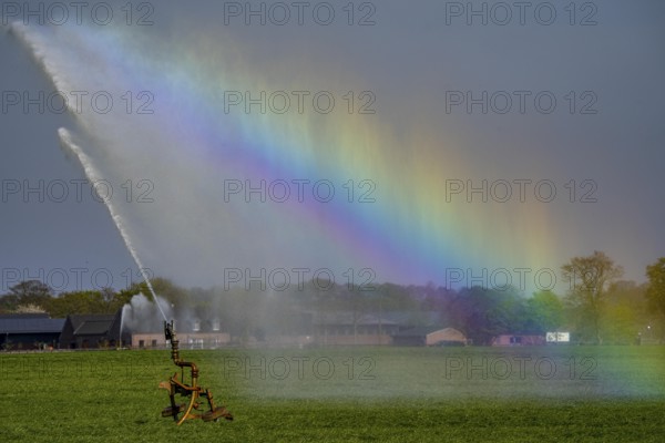 Artificial irrigation of a cereal field in April, with a sprinkler system, long dry spell in spring
