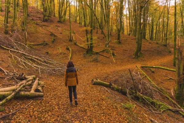 Lifestyle, a young brunette in a yellow jacket walking along the forest path in autumn. Artikutza