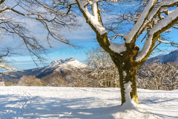 The Oianleku natural park at sunrise in the town of Oiartzun and in the background Mount Peñas de