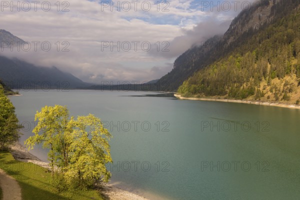 Early morning at the Sylvenstein reservoir, Reservoir in the Isarwinkel, municipality of Lenggries,