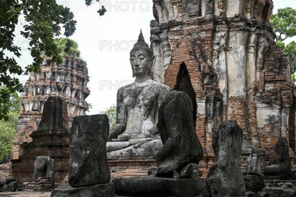 Buddha statue in Wat Mahathat Ayutthaya, Temple of the Great and Holy Relic, Ayutthaya, Ayutthaya