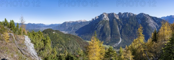 Autumnal mountain forest, yellow-coloured larches, ascent to the Große Arnspitze, view of mountain