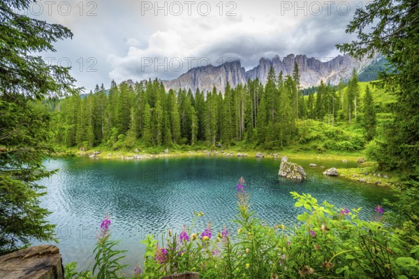Stunning turquoise water of lake carezza reflecting latemar mountain range and surrounded by lush