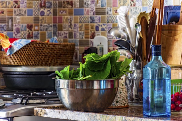 Real domestic scene of a kitchen and its varius utensils, Belo Horizonte, Minas Gerais, Brazil,