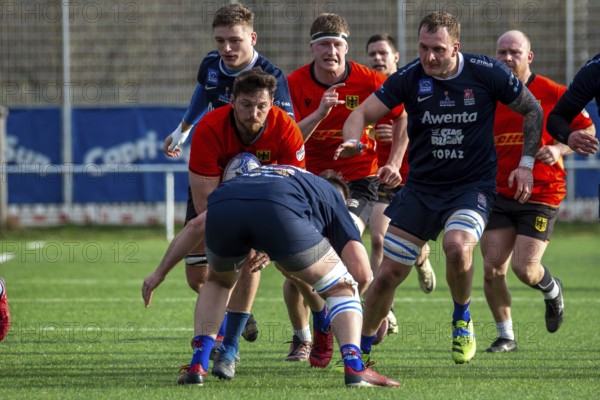 Rugby: Germany against MKS Pogon Awenta Siedlce, Poland in Heidelberg (test match of the German