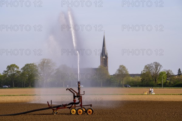 Artificial irrigation of a field, freshly sown, in April, with a sprinkler system, long drought in