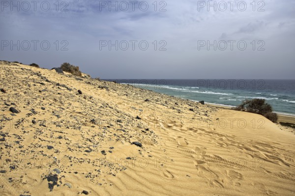 Playa Risco del Paso, Playa de Sotavento with sand dune, Pajara, Fuerteventura, Canary Islands,
