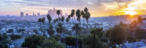 Los Angeles skyline with palm trees and downtown panorama at sunset in California in Los Angeles,