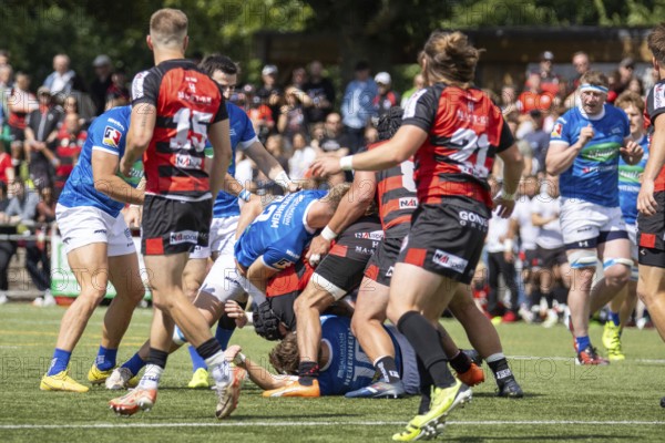 Heidelberg, 15.06.2024, Rugby 1st Bundesliga, 2023/24 season, final for the German championship: SC