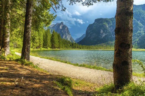 Wonderful alpine landscape showing lake dobbiaco with the dolomites in the background, in summer,