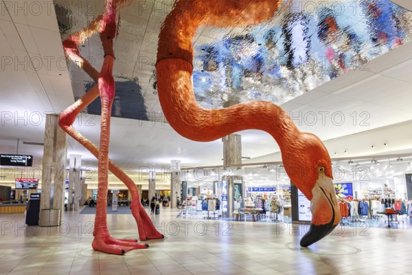 Terminal at Tampa Airport, USA, North America