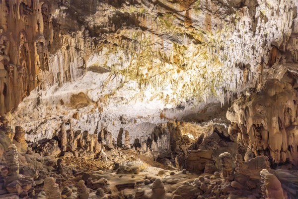 Breathtaking view of illuminated stalactites and stalagmites formations inside postojna cave, a