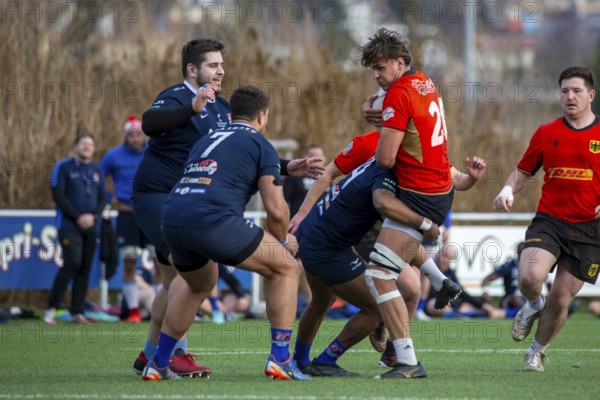 Rugby: Germany against MKS Pogon Awenta Siedlce, Poland in Heidelberg (test match of the German