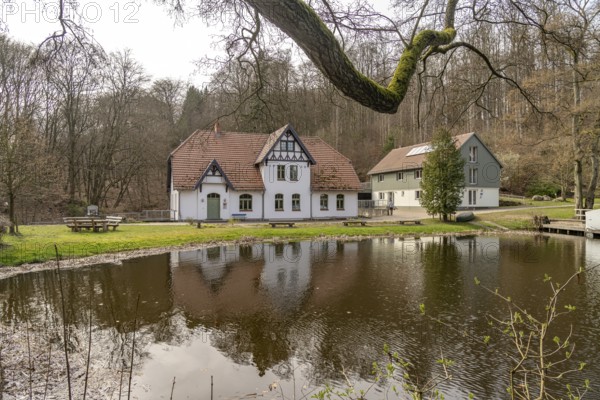 The Steinmühle Youth Forest Centre on Lake Grünower See in the Müritz National Park near Carpin,
