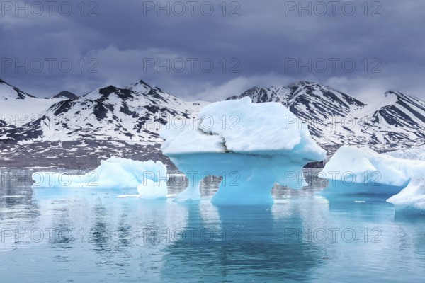 Iceberg, ice floe from calving Monacobreen glacier floating in the Liefdefjorden, fjord in Haakon