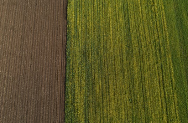 Drone view, green and ploughed fields, agricultural landscape, Innviertel, Upper Austria, Austria,