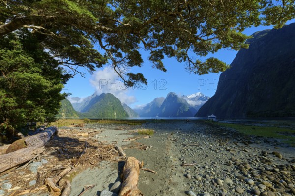 Impressive coastal landscape with mountains, blue sky and trees. Foreground shows driftwood and