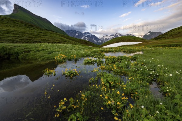 Summit in the morning light with dramatic clouds and marsh marigolds (Caltha) with stream in the