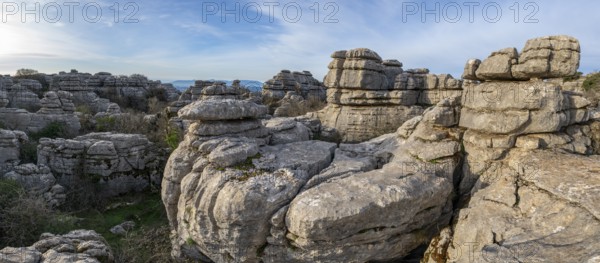 Bizarre limestone rock formations, El Torcal nature reserve, Torcal de Antequera, Malaga province,