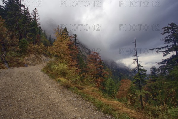 Gravel path in an autumnal forest under a cloudy sky by the mountains. Hike to the Herzogstand,