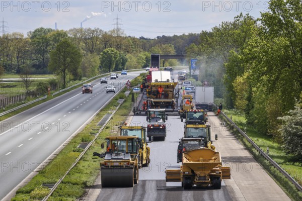 Wesel, North Rhine-Westphalia, Germany, road construction, asphalt pavers and road rollers lay new