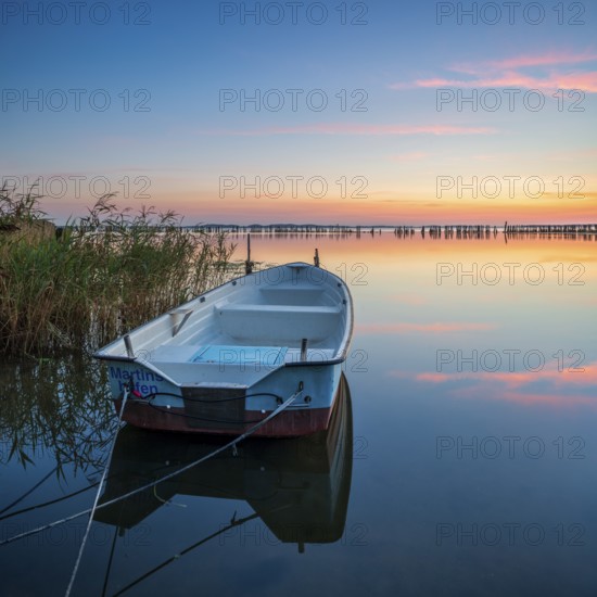 Sunset, rowing boat moored in the reeds, Großer Jasmunder Bodden, Rügen Island, Mecklenburg-Western