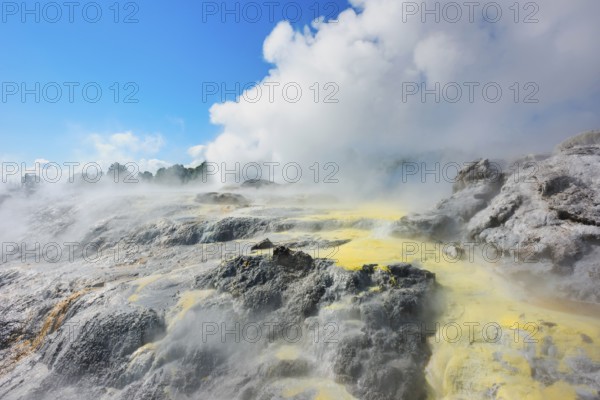 Prince of Wales and Pohutu geysers erupting, Te Puia Thermal Valley, Rotorua, Bay of Plenty, North