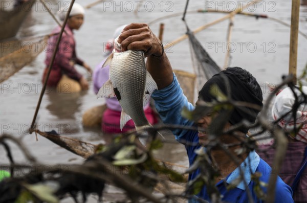 Villagers participate in a community fishing event on the occasion of the Bhogali Bihu festival at