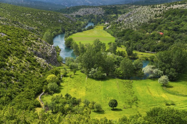 Green valley with river, surrounded by wooded hills and mountains, river Zrmanja near Bilišane