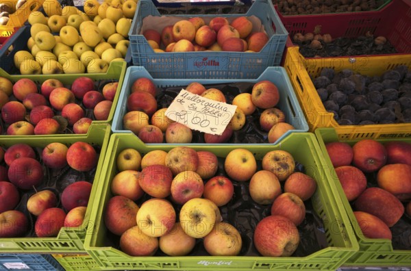 Apples, plums, fruit, display at weekly market market, Alaró, Calvià, Majorca, Balearic Islands,