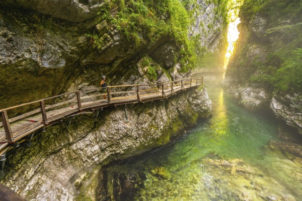 Female tourist walking along a wooden path in vintgar gorge, slovenia, admiring the stunning