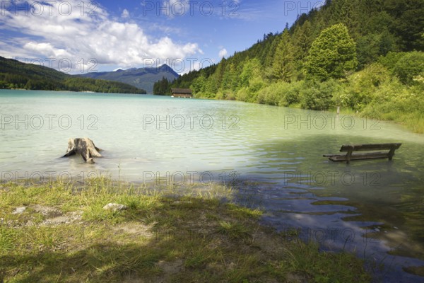 A shore with a tree stump and a bench, flooded by the lake with forested mountains, Walchensee,