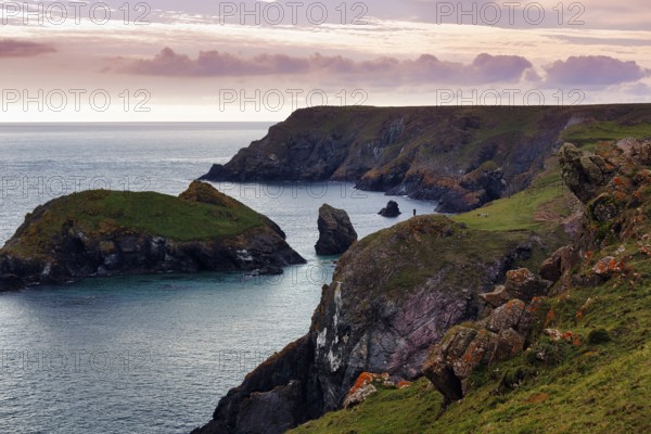 Rocky coast at Kynance Cove, evening sky, Mount's Bay, Lizard Peninsula, Cornwall, England, Great