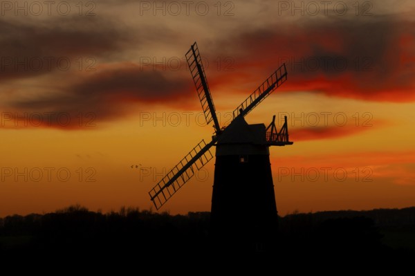 Windmill silhouette at sunset with a red sky and clouds and a flock of Lapwing flying behind,