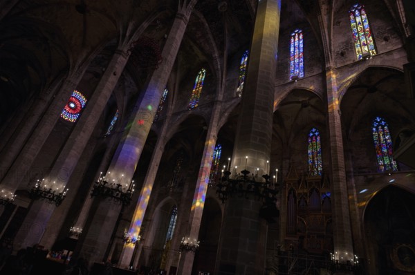 Play of colours, play of light, colourful church windows, interior view, La Seu, Basilica de Santa