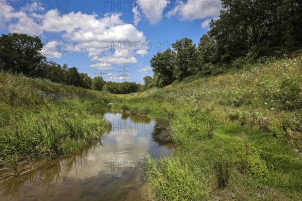 Bottrop, North Rhine-Westphalia, Germany, Renaturalised Boye, the tributary of the Emscher, has