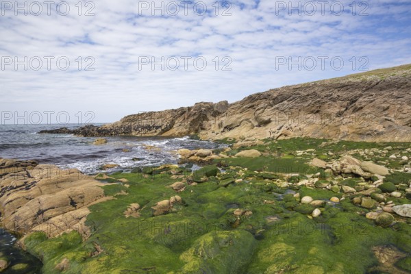 Rocky west coast of the Quiberon peninsula in Brittany, France, with a partly cloudy sky and algae