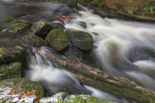Kleine Ohe creek below Waldhaeuser village in the Bavarian Forest Nationalpark. Flowing water and