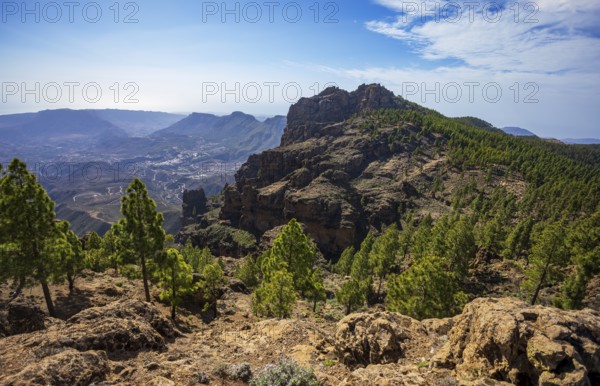 View into the valley of the Caldera de Tirajana, pine forest around the summit of El Campanario,