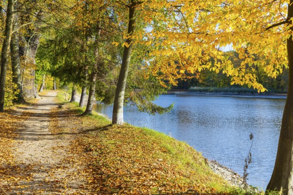 Path around the castle pond in autumn, castle park of Schloss Hermsdorf, Ottendorf-Ockrilla,