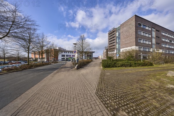 Town hall, trees, hedge, lantern, pavement made of concrete paving stones, asphalt road, blue sky