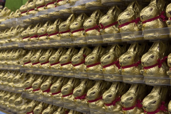 Display on retail shelf wholesale of large quantity of chocolate Easter bunnies chocolate Easter
