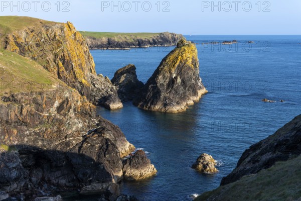 Coastal landscape in Kynance Cove. Evening, golden hour. Kynance Cove, Lizard Peninsula, Cornwall,