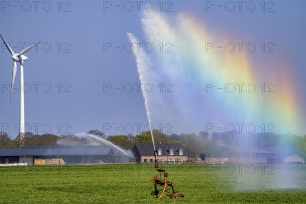 Artificial irrigation of a cereal field in April, with a sprinkler system, long dry spell in spring