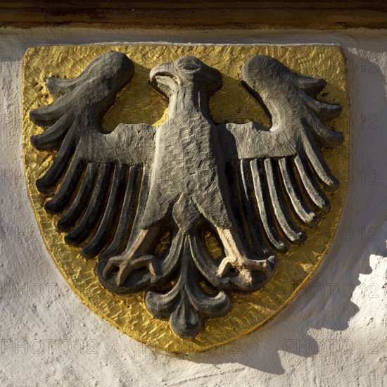 Imperial eagle on the town hall, heraldic animal of the town of Goslar, Old Town, UNESCO World