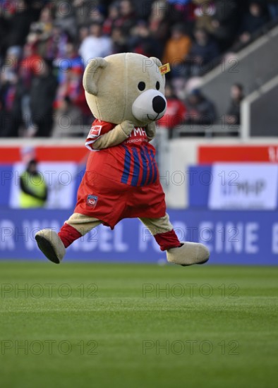 Mascot Paule 1. FC Heidenheim 1846 FCH jumps, air jump, joy, Voith-Arena, Heidenheim,