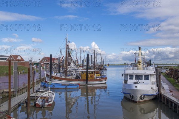 Crab cutters and boats in the harbour of Ditzum, Rheiderland, East Frisia, Lower Saxony, Germany,