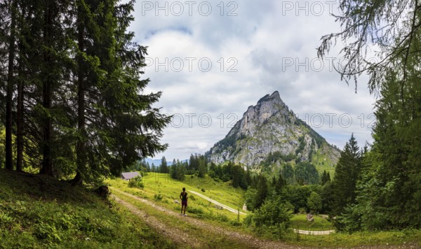 Hiker on the Schartenalm with a view of the Sparber, Osterhorn group, Salzkammergut, Salzburg
